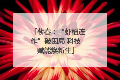 蕲春：“虾稻连作”破困局 科技赋能焕新生