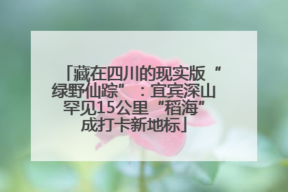 藏在四川的现实版“绿野仙踪”：宜宾深山罕见15公里“稻海”成打卡新地标