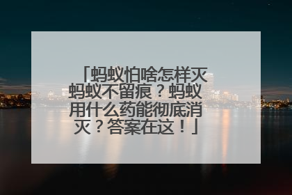 蚂蚁怕啥怎样灭蚂蚁不留痕？蚂蚁用什么药能彻底消灭？答案在这！