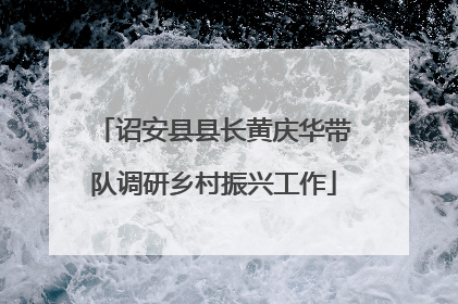 诏安县县长黄庆华带队调研乡村振兴工作