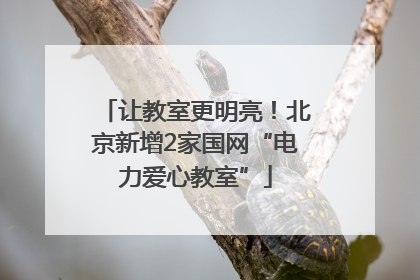 让教室更明亮！北京新增2家国网“电力爱心教室”