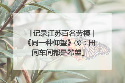 记录江苏百名劳模｜《同一种仰望》⑤：田间车间都是希望