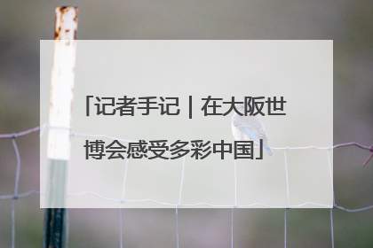 记者手记｜在大阪世博会感受多彩中国