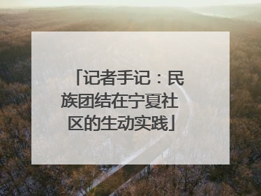 记者手记：民族团结在宁夏社区的生动实践