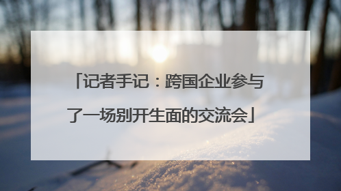 记者手记：跨国企业参与了一场别开生面的交流会