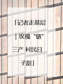 记者走基层｜玫瑰“链”三产 村民日子甜