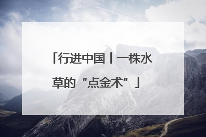行进中国丨一株水草的“点金术”