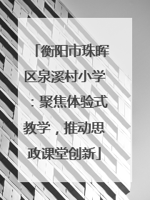 衡阳市珠晖区泉溪村小学：聚焦体验式教学，推动思政课堂创新