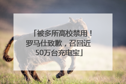 被多所高校禁用！罗马仕致歉，召回近50万台充电宝