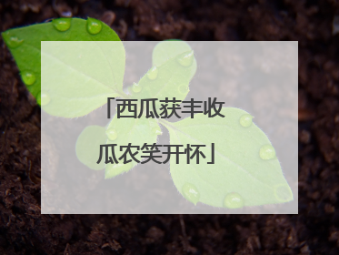 西瓜获丰收 瓜农笑开怀