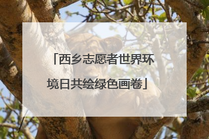西乡志愿者世界环境日共绘绿色画卷