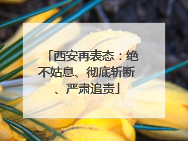 西安再表态：绝不姑息、彻底斩断、严肃追责