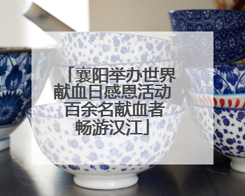 襄阳举办世界献血日感恩活动 百余名献血者畅游汉江