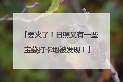 要火了！日照又有一些宝藏打卡地被发现！