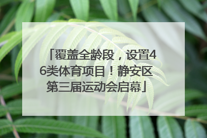 覆盖全龄段，设置46类体育项目！静安区第三届运动会启幕