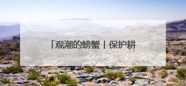 观潮的螃蟹丨保护耕地要打好“文化牌”