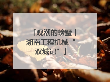 观潮的螃蟹丨湖南工程机械“双城记”