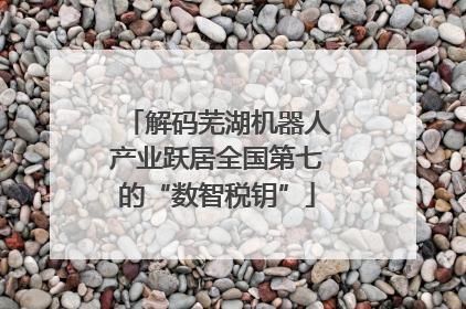 解码芜湖机器人产业跃居全国第七的“数智税钥”