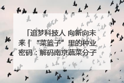 追梦科技人 向新向未来｜“菜篮子”里的种业密码：解码南京蔬菜分子育种的创新之路