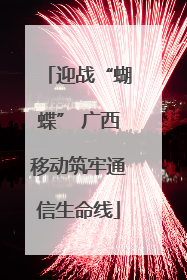 迎战“蝴蝶” 广西移动筑牢通信生命线