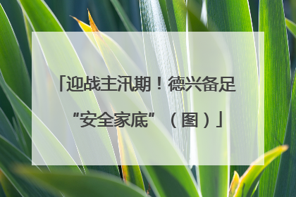 迎战主汛期！德兴备足“安全家底”（图）