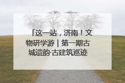 这一站，济南！文物研学游｜第一期古城遗韵·古建筑巡迹之旅圆满结束