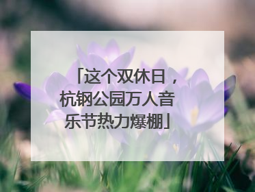 这个双休日，杭钢公园万人音乐节热力爆棚