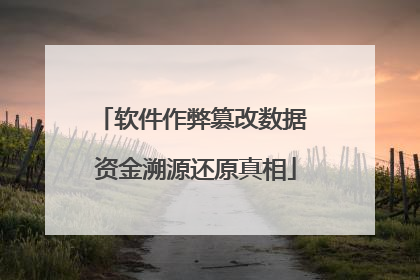软件作弊篡改数据 资金溯源还原真相