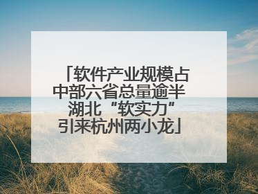 软件产业规模占中部六省总量逾半 湖北“软实力”引来杭州两小龙
