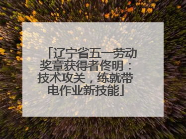辽宁省五一劳动奖章获得者佟明：技术攻关，练就带电作业新技能