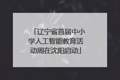辽宁省首届中小学人工智能教育活动周在沈阳启动