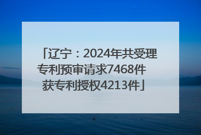 辽宁：2024年共受理专利预审请求7468件 获专利授权4213件