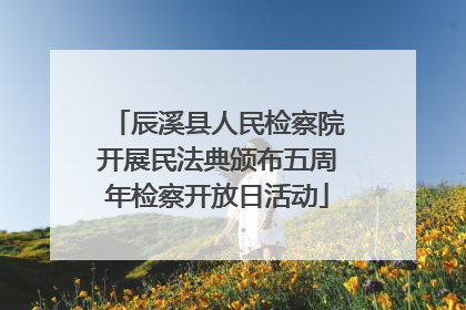 辰溪县人民检察院开展民法典颁布五周年检察开放日活动