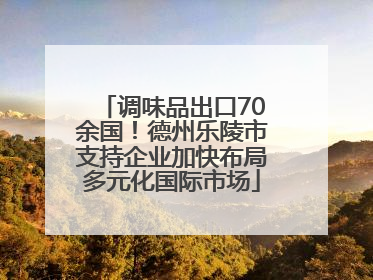 调味品出口70余国！德州乐陵市支持企业加快布局多元化国际市场