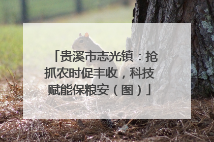 贵溪市志光镇：抢抓农时促丰收，科技赋能保粮安（图）