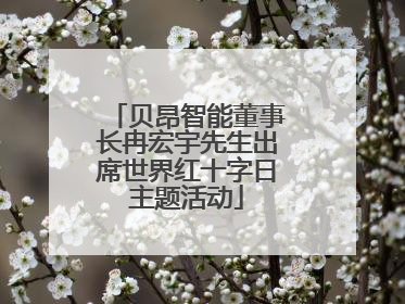 贝昂智能董事长冉宏宇先生出席世界红十字日主题活动