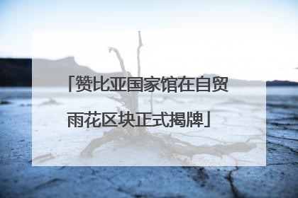 赞比亚国家馆在自贸雨花区块正式揭牌