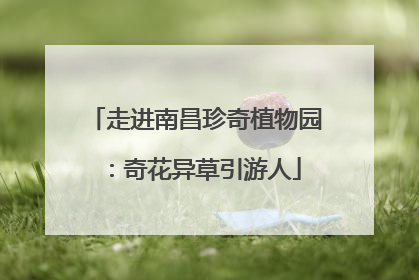 走进南昌珍奇植物园：奇花异草引游人