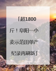 超1800斤！阜阳一小麦示范田单产纪录再刷新