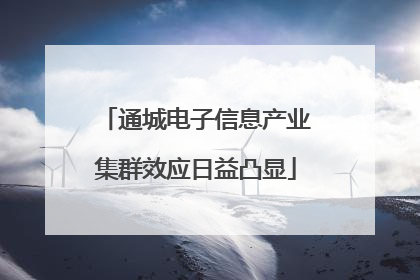 通城电子信息产业集群效应日益凸显