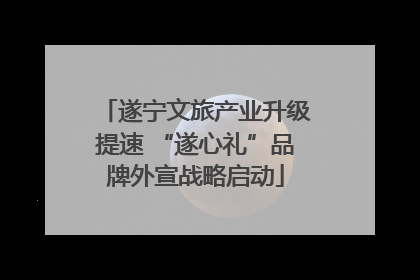 遂宁文旅产业升级提速 “遂心礼”品牌外宣战略启动