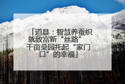 道县：智慧养蚕织就致富新“丝路” 千亩桑园托起“家门口”的幸福