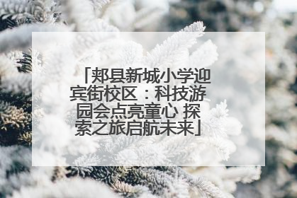 郏县新城小学迎宾街校区：科技游园会点亮童心 探索之旅启航未来