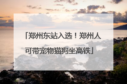 郑州东站入选！郑州人可带宠物猫狗坐高铁