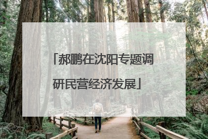 郝鹏在沈阳专题调研民营经济发展