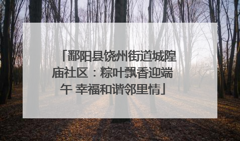 鄱阳县饶州街道城隍庙社区：粽叶飘香迎端午 幸福和谐邻里情