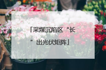 采煤沉陷区“长”出光伏矩阵