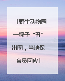 野生动物园一猴子“丑”出圈，当地保育员回应