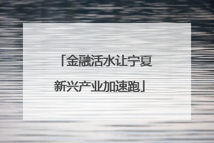 金融活水让宁夏新兴产业加速跑