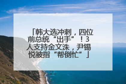韩大选冲刺，四位前总统“出手”！3人支持金文洙，尹锡悦被指“帮倒忙”
